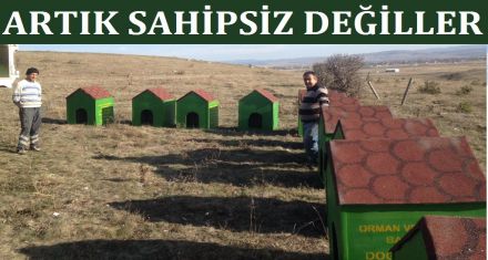 Artık sahipsiz değiller