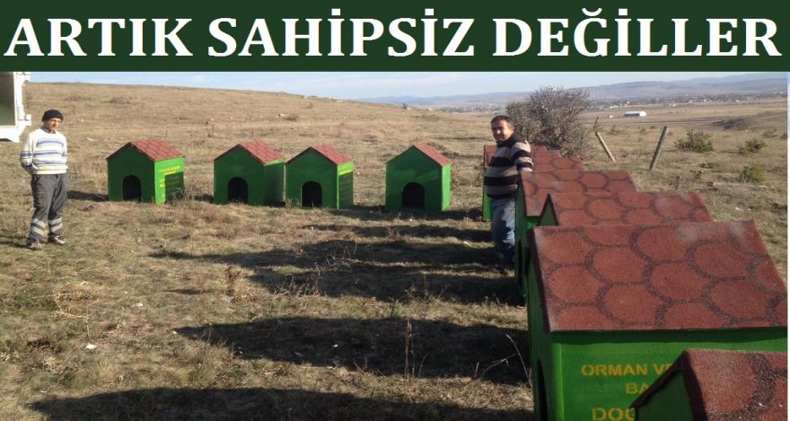 Artık sahipsiz değiller