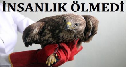 İNSANLIK ÖLMEDİ 