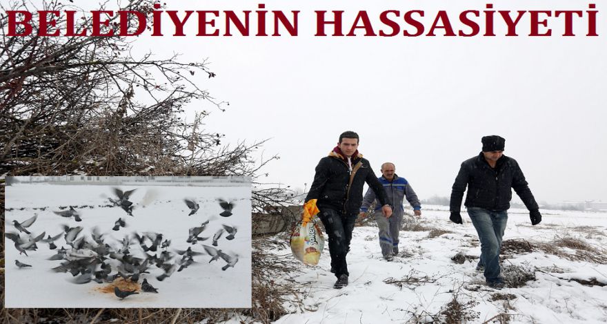Belediyenin hassasiyeti