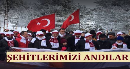 SARIKAMIŞ I ANDILAR