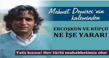 ERCOŞKUN VE KÜPÇÜ NE İŞE YARAR!
