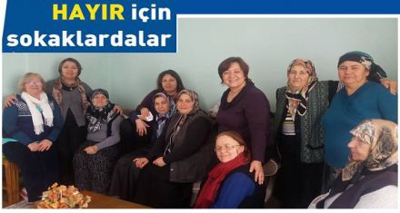 Onlar HAYIR için sokaklarda