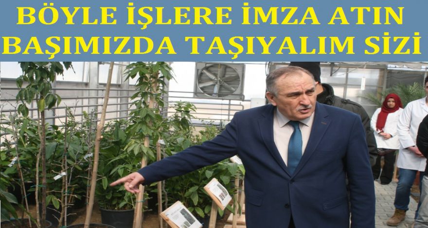 TOHUMLARA SAHİP ÇIKILIYOR