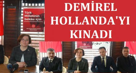 DEMİREL HOLLANDA'YI KINADI 