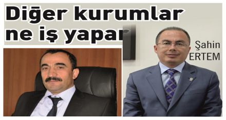 Diğer kurumlar ne iş yapar