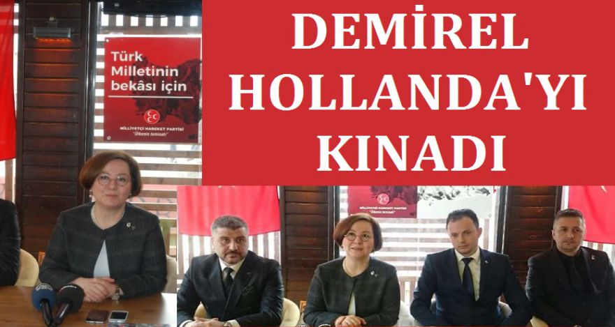DEMİREL HOLLANDA'YI KINADI