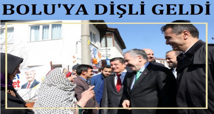 DİŞLİ GELDİ