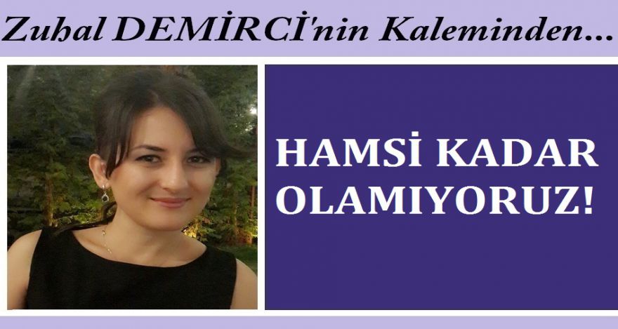 HAMSİ KADAR OLAMIYORUZ!