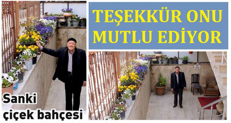 Sanki çiçek bahçesi