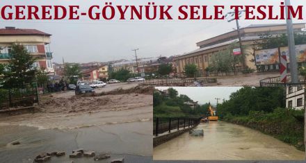 GEREDE-GÖYNÜK SELE TESLİM 