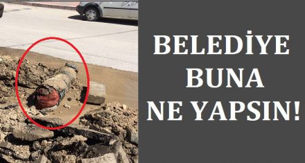 BUNA BELEDİYE NE YAPSIN!