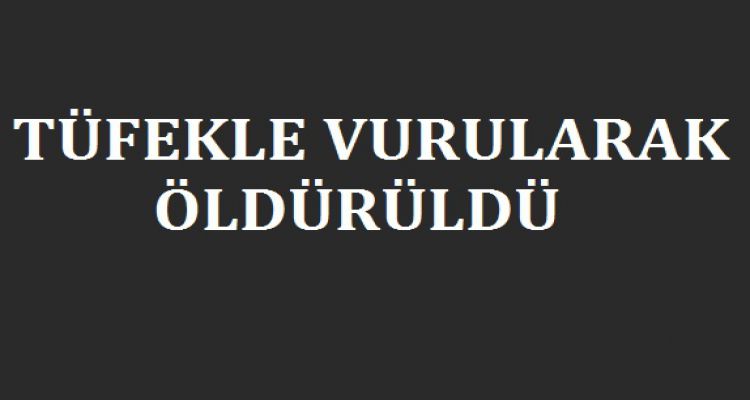 TÜFEKLE VURULARAK ÖLDÜRÜLDÜ