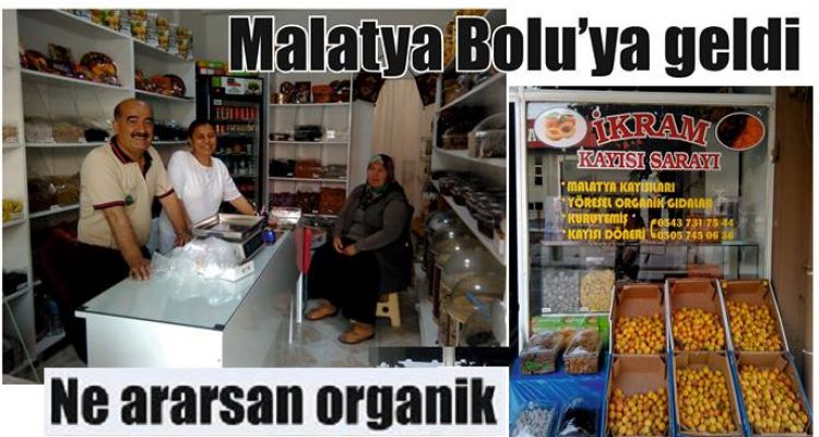 Ne ararsan organik