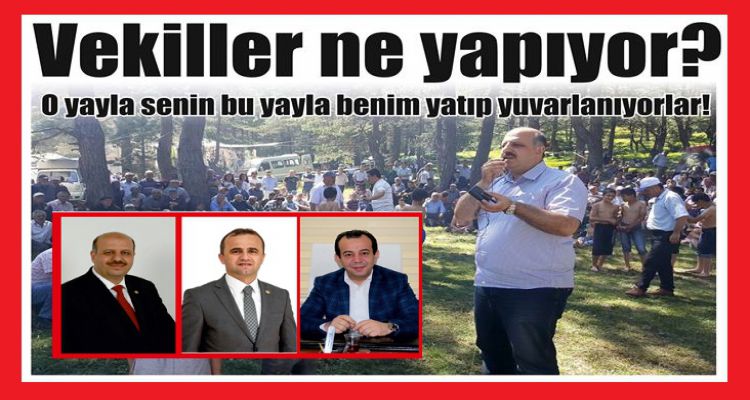 Vekiller ne yapıyor?