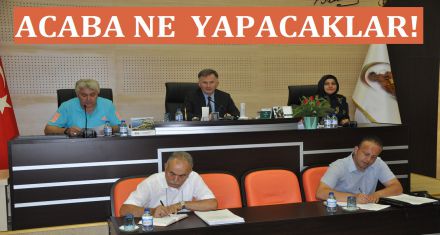 NE Mİ YAPACAKLAR!