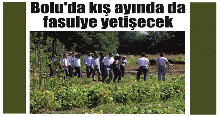 Bolu'da kış ayında da fasulye yetişecek