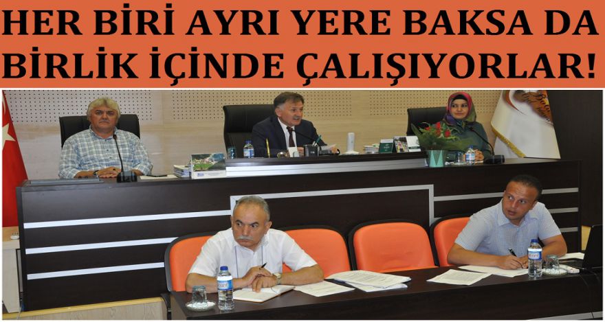 Ayrı yere baksalar da birlik içinde çalışıyorlar