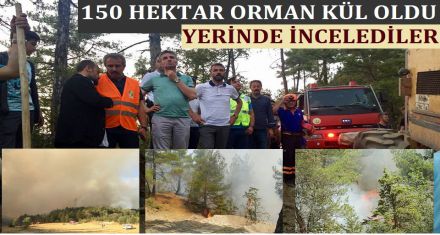 150 HEKTAR ORMAN KÜL OLDU 