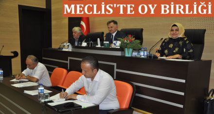 MECLİS'TE OY BİRLİĞİ 