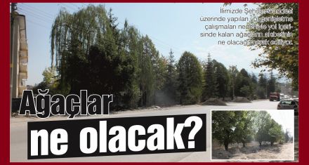 Ağaçlar ne olacak?
