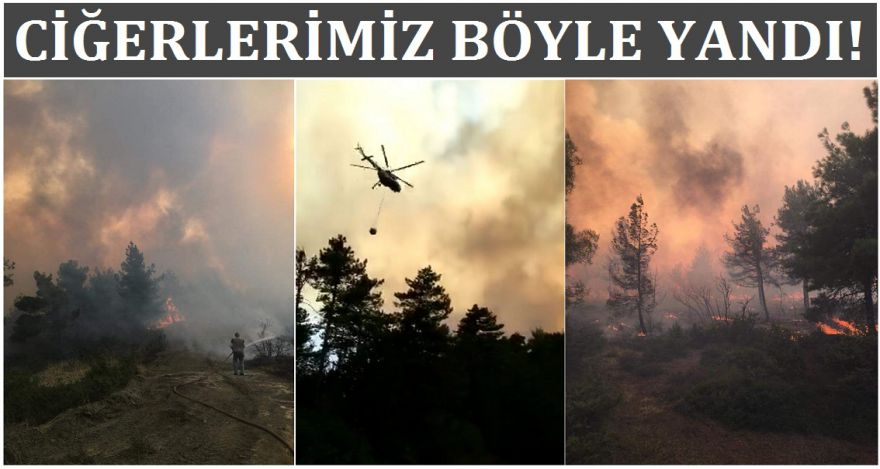 CİĞERLERİMİZ YANDI
