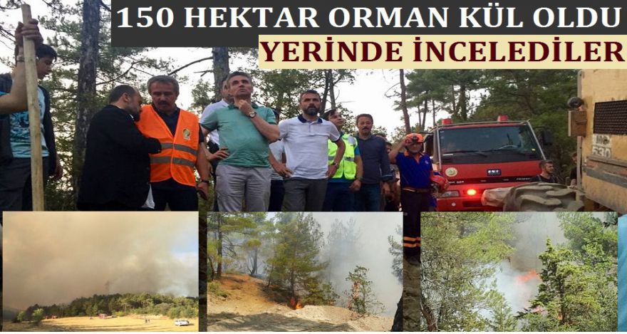 150 HEKTAR ORMAN KÜL OLDU