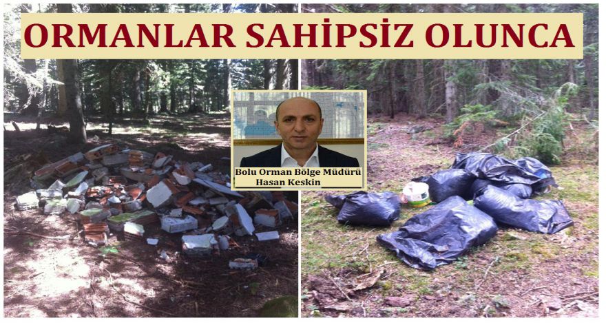ORMANLAR SAHİPSİZ OLUNCA