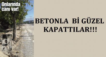 Onlarında canı var!