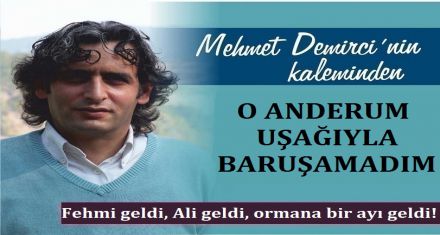 ORMANA BİR AYI GELDİ!