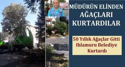 ORMAN MÜDÜRÜNÜN ELİNDEN AĞAÇLARI KURTARDILAR!