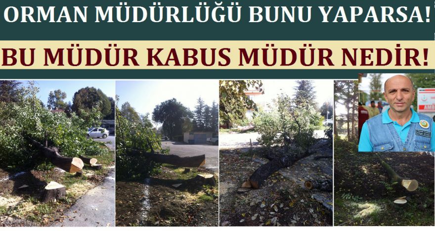 BU MÜDÜR KABUS MÜDÜR?