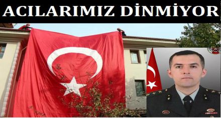 ACILARIMIZ DİNMİYOR