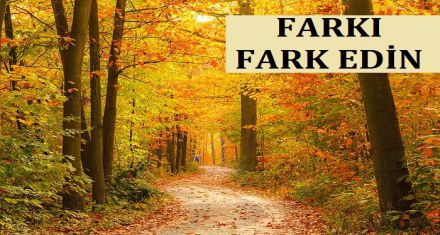 FARKI FARK EDİN 