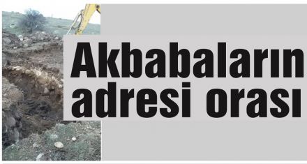 Akbabaların adresi orası 