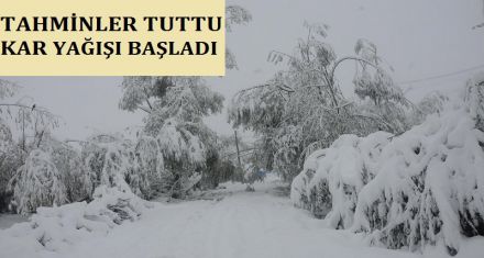 BOLU DA YOĞUN KAR YAĞIŞI