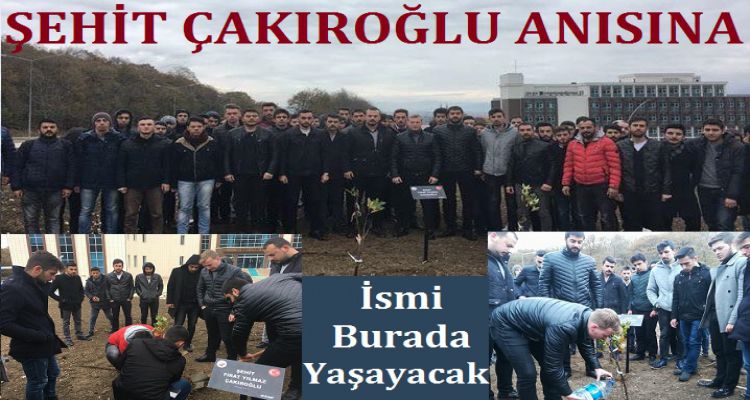 ÜLKÜCÜ ŞEHİT ANISINA