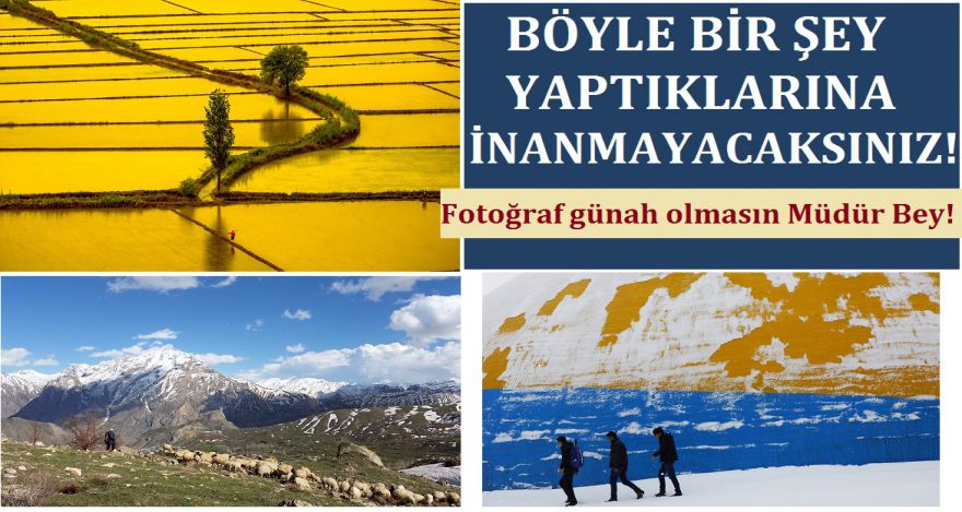 BÖYLE BİR İŞ YAPTIKLARINA İNANMAYACAKSINIZ!