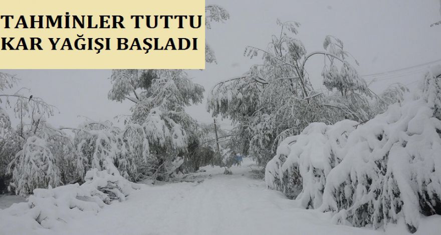BOLU DA YOĞUN KAR YAĞIŞI