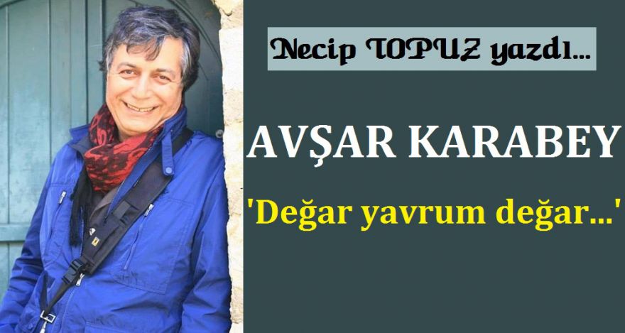 AVŞAR KARABEY