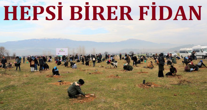 ONLARIN HEPSİ BİRER FİDAN