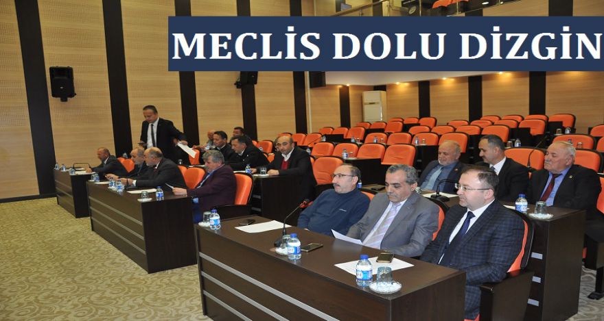 MECLİS DOLU DİZGİN