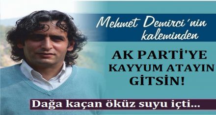 AK PARTİ'YE KAYYUM ATAYIN GİTSİN!