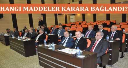 HANGİ MADDELER KARARA BAĞLANDI?