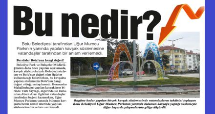 Bu nedir?
