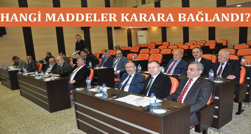 HANGİ MADDELER KARARA BAĞLANDI?