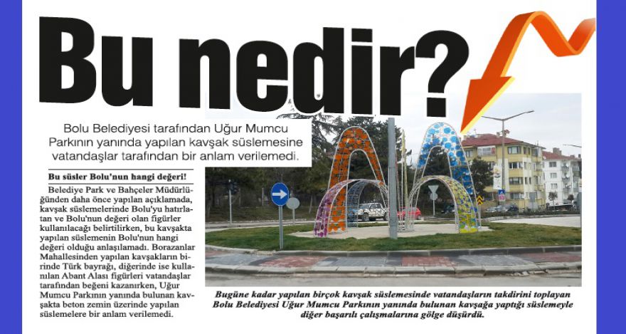Bu nedir?