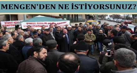 MENGEN'DEN NE İSTİYORSUNUZ?