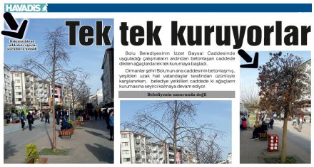 Tek tek kuruyorlar 