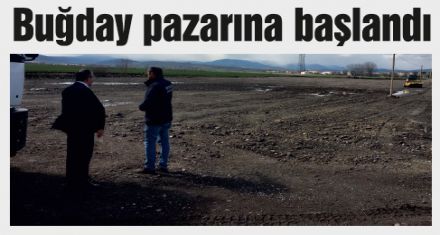 Buğday pazarına başlandı